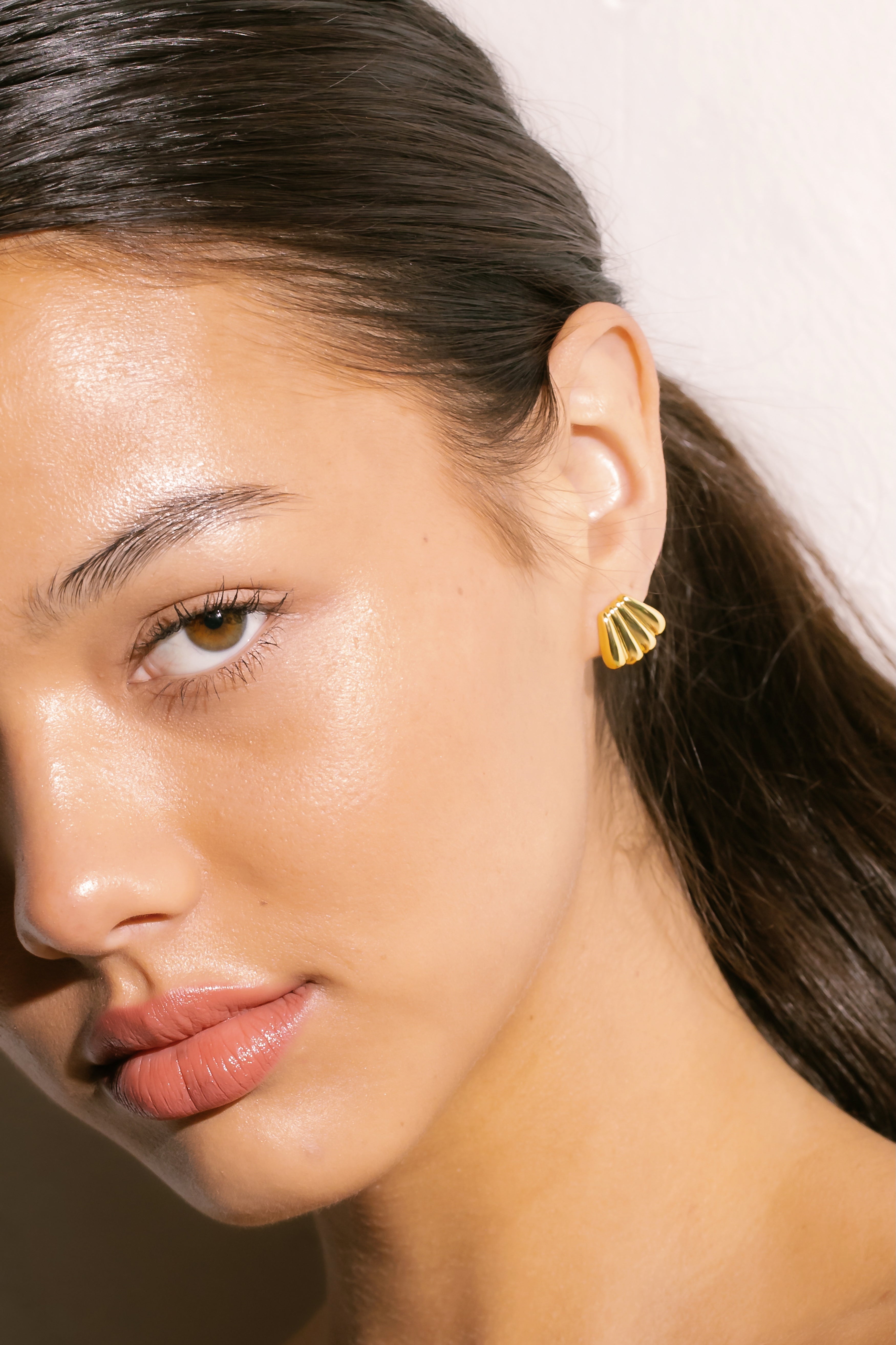 Scallop Earrings