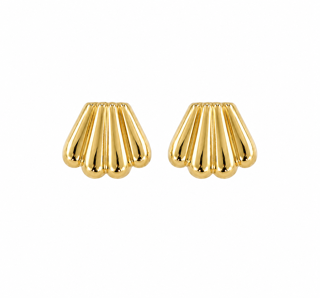 Scallop Earrings