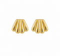 Scallop Earrings