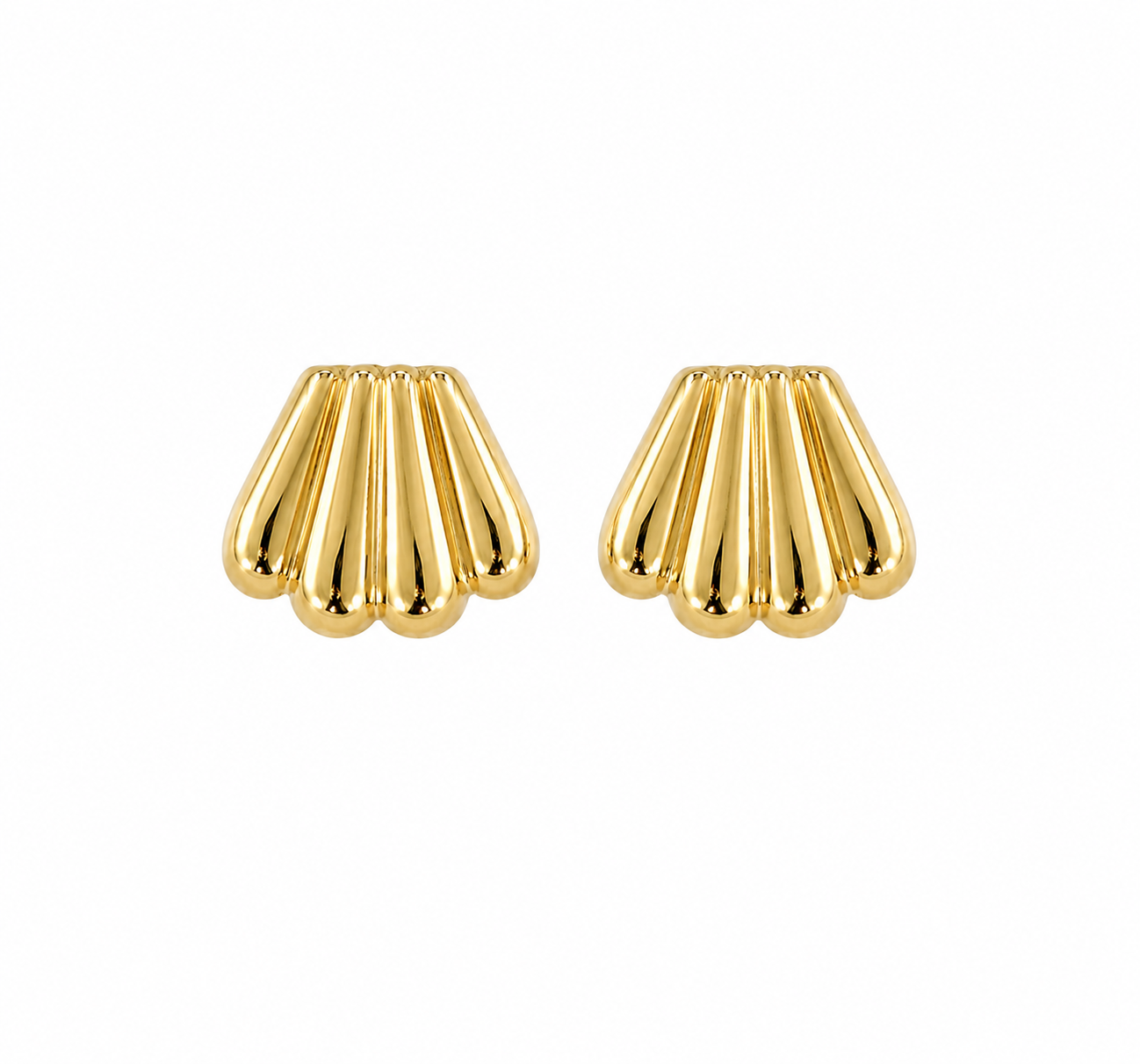 Scallop Earrings